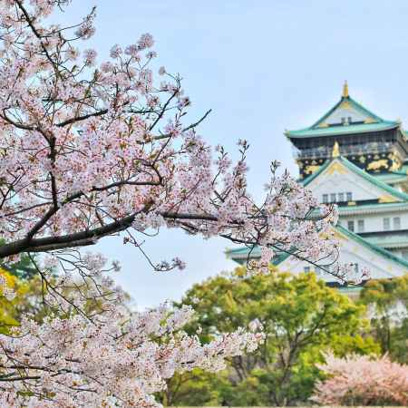 Top Things To Do When Traveling in Japan